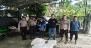 Polsek Singkawang Selatan Kawal Penyaluran Bibit Jagung untuk 12 Kelompok Tani