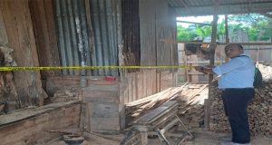 Polres Kampar Respon Cepat Berita Viral Sawmill Ilegal, Lakukan Pengecekan dan Pasang Police Line!