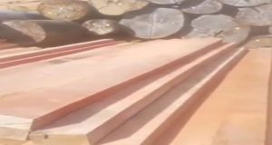 Pengolahan Kayu Tanpa Izin/Ilegal Logging di Solok Selatan Kebal Hukum, Kapolda di Minta Bertindak