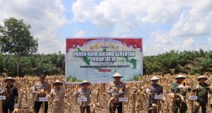 Polres Ketapang Laksanakan Panen Raya Jagung Serentak Kuartal III di Kecamatan Air Upas dan Gerakan Pangan Murah