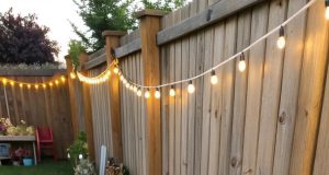 9 Bunga Indah yang Mudah Ditanam & Tumbuh Cepat