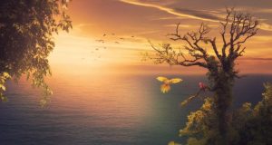 Sastrawan Berkritik: Membaca “Debu Liar di Mata Wali Kota” Karya Muhammad Alfariezie