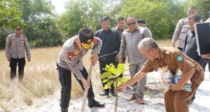Kapolda Babel Kunjungi Belitung Timur, Tanam Pohon Di Objek Wisata SD Laskar Pelangi
