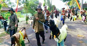 Kirab Rajakaya Ngeposari, Tradisi Adat yang Meneguhkan Desa Mandiri Budaya