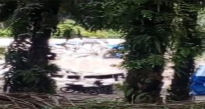 Maraknya PETI di Sungai Sirih, Aparat Dipermainkan Mafia Tambang Emas