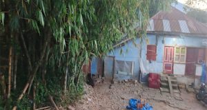 Mutilasi Terhadap Anak Kandung Di Bukittinggi, Penting untuk mengedepankan kajian psikologis