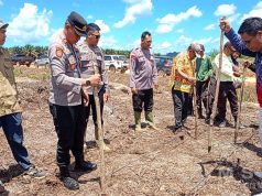 Polsek Matan Hilir Utara Bersinergi Laksanakan Penanaman Jagung Hubrida Untuk Dukung Ketahanan Pangan