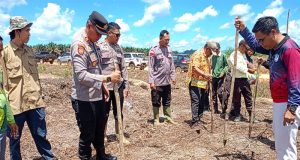 Polsek Matan Hilir Utara Bersinergi Laksanakan Penanaman Jagung Hubrida Untuk Dukung Ketahanan Pangan