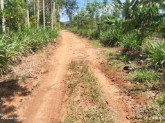 Proyek Sabes di Lebuay, Kades Menang Banyak Warga Dijadikan Penonton