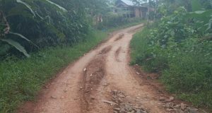 Akal Bulus Kades Lebuay, Pernah Tandatangan Pengunduran Diri Pakai Materai