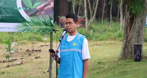 Wujudkan Lingkungan Lestari, PLN IP dan PJT II Gelar Kegiatan Penanaman Pohon MPTS