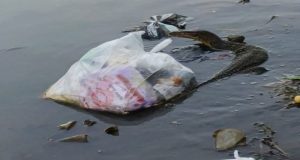 Aneh, Jorong Parak Laweh Tidak Tergerak Terhadap Sampah, Tidak Mampu Mendorong Warganya Dalam Goro