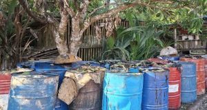 SAJA GILA BAH! Gudang Ilegal CPO dan Kernel Kembali Merajalela di Sanggau