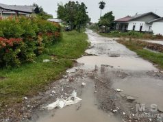 Warga RT 004/RW 014 Kelurahan Dadok Tunggul Hitam Keluhkan Jalan Rusak Parah Butuh Perhatian Pemerintah