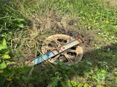 Pencari Keong Dikejutkan oleh Jatuhnya Loler SUTT di Kavling Gapura RT 03 RW 05 Desa Setiamulya