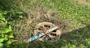 Pencari Keong Dikejutkan oleh Jatuhnya Loler SUTT di Kavling Gapura RT 03 RW 05 Desa Setiamulya