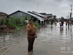 Camat Koto Tangah Tinjau Langsung Warga Terdampak Banjir di Kelurahan Dadok Tunggul Hitam