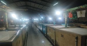 Dalam Rangka Penilaian Adipura, Dinas Lingkungan Hidup Kota Tarakan Lembur Melakukan Pembersihan