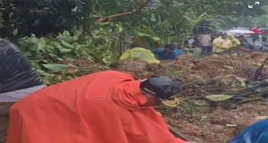 Gubernur Sumbar Turun Tangan Bersihkan Material Longsor di Malalak: Pembukaan Akses Jalan Jadi Prioritas