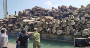 Dirut PT BRN Jadi Tersangka, Dirjen Gakkum Serahkan Berkas Ilegal Logging Asal Mentawai Ke Kejaksaan