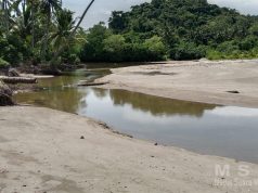Akibat Banjiri Aliran Sungai Pekon Paku Berbelok Ke Pemukiman Warga