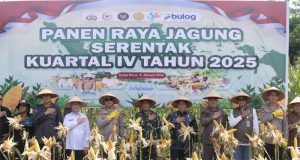 Cetak Sejarah, Polda Kalbar Sabet Rekor MURI Panen dan Pemipilan Jagung Serentak di Bengkayang
