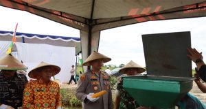 Hadiri Panen Raya Jagung Serentak Kuartal IV Kapolres Ketapang Bersama Forkompinda Dukung Program Swasembada Pangan di Kecamatan Muara Pawan