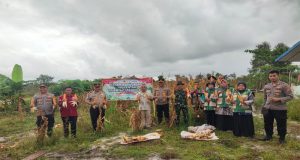 Dukung Swasembada Pangan Nasional, Polres Beltim Gelar Panen Raya Jagung Serentak Di Desa Cendil