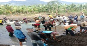 Tak Terhitung Kali Berapanya Masyarakat Punduh pedada Bergotong Royong Demi Mengairkan Sawah Atakh Tengah