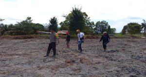 Personel Polsek Matan Hilir Selatan Bersama Pihak Desa Kemuning-Biutak, Cek Lahan Kesiapan Tanam Jagung Hibrida