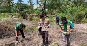 Sinergi Polri Dan Masyarakat, Polsek Dendang Gelar Penanaman Jagung Serentak
