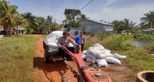 Dukung Program Ketahanan Pangan Nasional,Kapolsek Kendawangan Bersama Kelompok Tani Laksanakan Penanaman Jagung Hibrida Di Desa Banjar Sari
