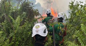 Tim SAR Dit Samapta Polda Kalbar Berjibaku Padamkan Karhutla di Kubu Raya