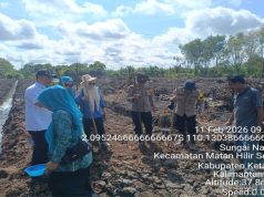 Polsek Matan Hilir Selatan Gandeng Pemerintahan Desa, Untuk Tanam Jagung Sukseskan Ketahanan Pangan