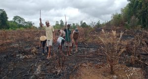 Dukung Program Ketahanan Pangan Nasional ,Polsek Jelai Hulu Laksanakan Penanaman Lahan Jagung Hibrida di Desa Pangkalan Suka