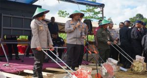 Polda Papua Barat Gelar Tanam Raya Jagung Dukung Ketahanan Pangan Nasional