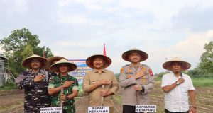 Polres Ketapang Laksanakan Penanaman Jagung Serentak Kuartal I Tahun 2026 Dukung Program Swasembada Jagung