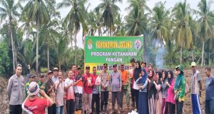 BUMDes “Usaha Bersama” Desa Pematang Gadung, Kecamatan MHS, Kab. Ketapang. Gelar Kegiatan Tanam Jagung Untuk Dukung Ketahanan Pangan Desa
