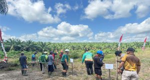 Polsek Marau Bersama Forkopimcam dan PT KGP Laksanakan Penanaman Jagung Hibrida Dukung Ketahanan Pangan Nasional