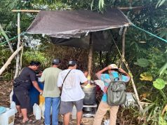 Polresta Manokwari Berhasil Ungkap Tindak Pidana Minuman Keras Cap Tikus (CT)